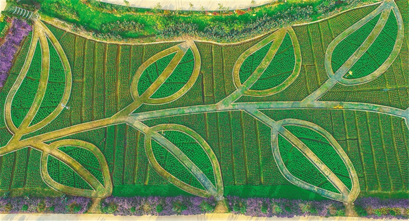 微信圖片_20210517094639