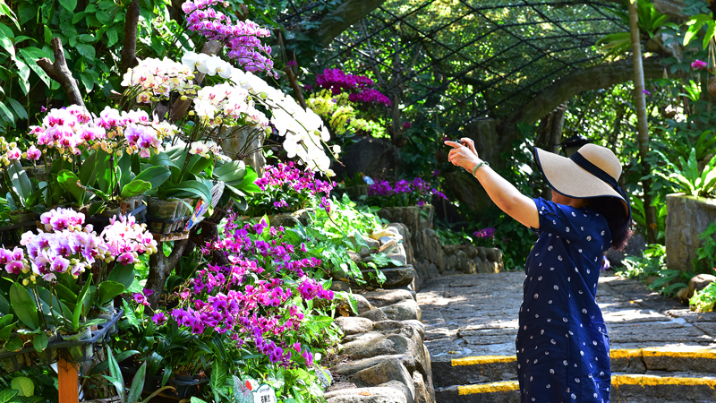 微信圖片_20220113105139