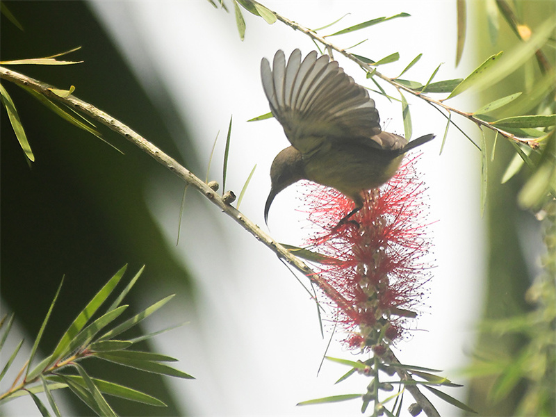 20240313220401_97488