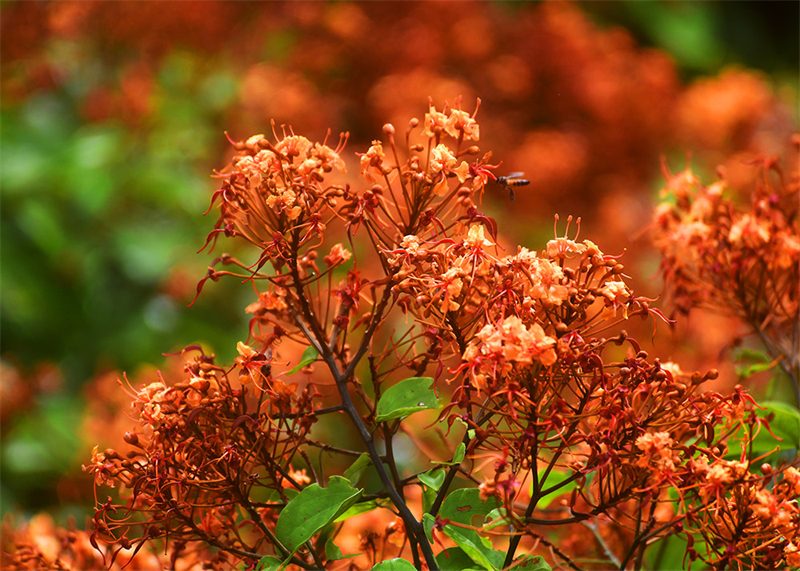 20240826165322_79648