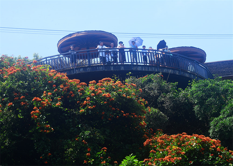 20240826165935_32688