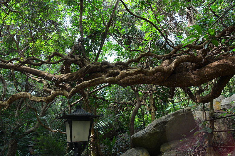 20241218221716_75958