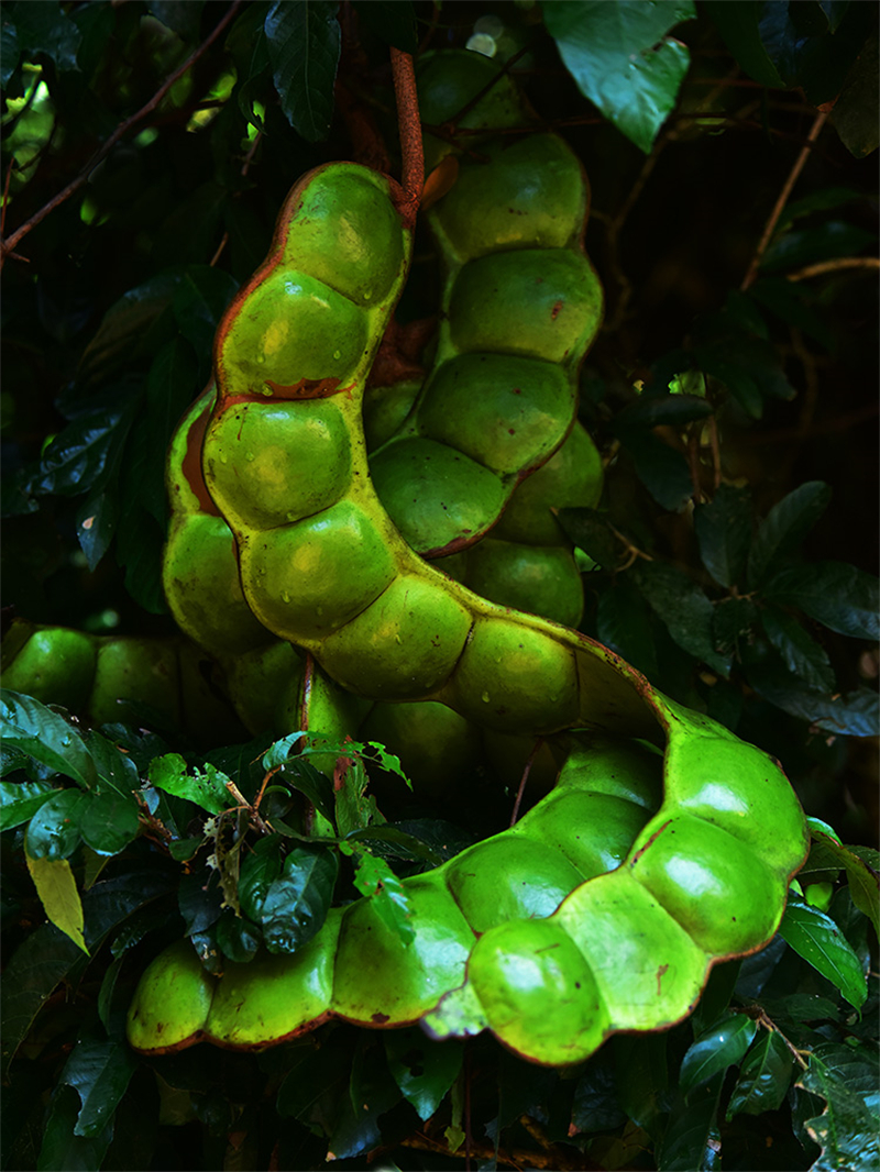 20241218221949_90014