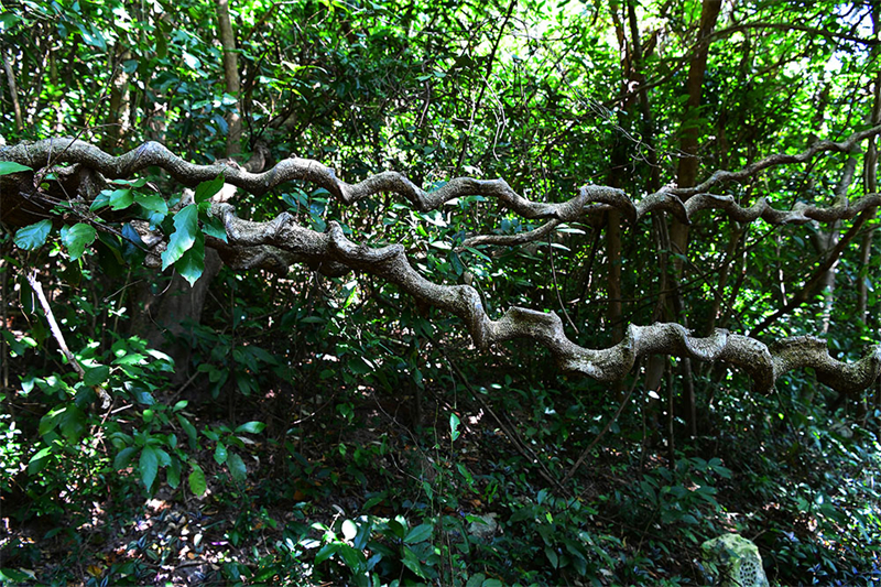 20241218221919_63377