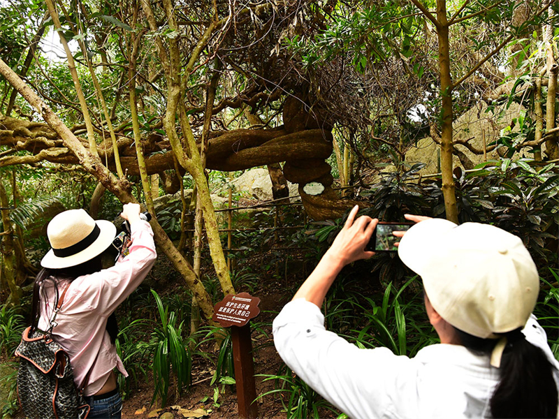 20241218222023_23184