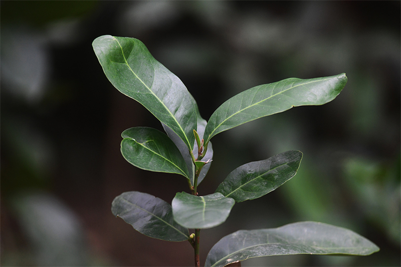 20241231165926_21066 20241231165926_21066