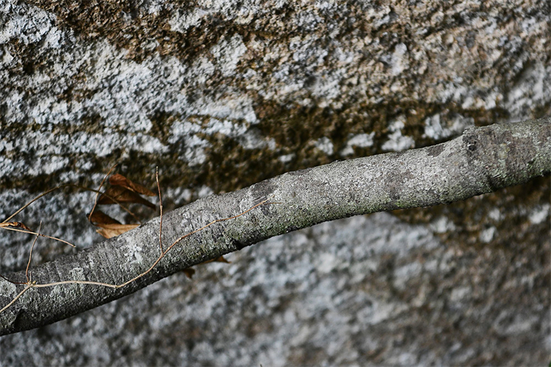 20241231165048_30624 20241231165048_30624