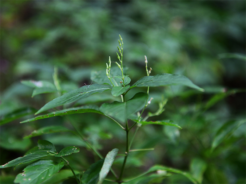 20241231165951_40690 20241231165951_40690