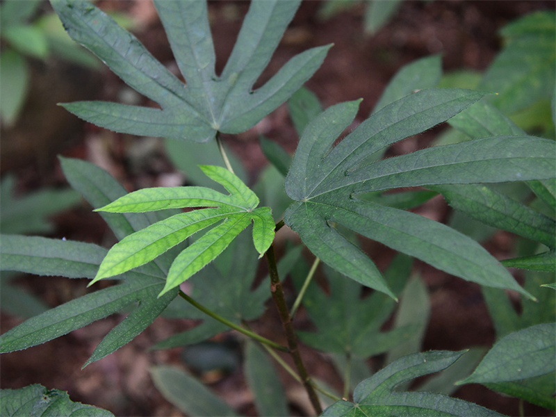 20241231164844_75559 20241231164844_75559