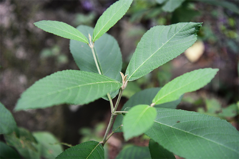 20241231165846_75748 20241231165846_75748