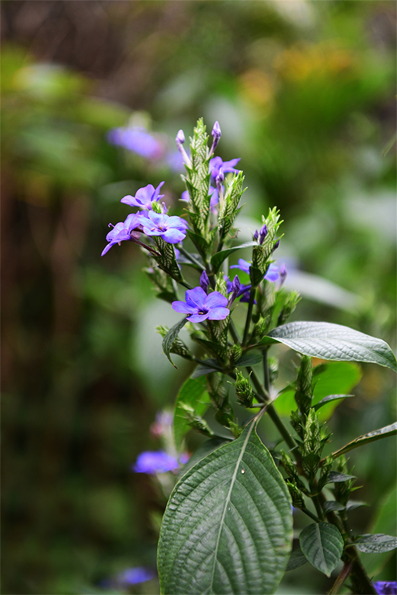 20241231165808_51680 20241231165808_51680