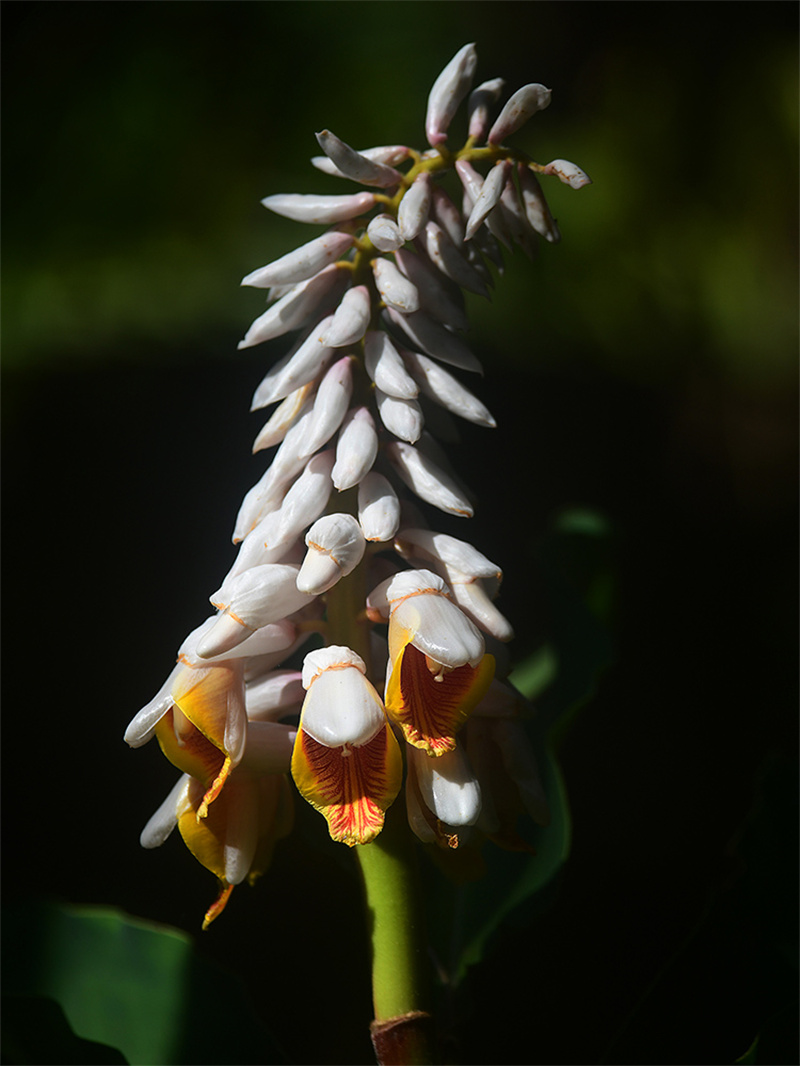 20250305211213_48491