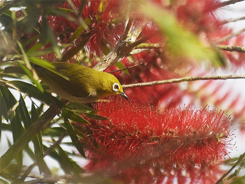 20250305211110_82412